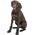 Trixie Walker Active Long, buty, dla psa, XS-S, czarne, 2 szt./opak
