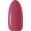 Activeshop OCHO NAILS Lakier hybrydowy nude N06 -5 g
