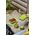 Emsa Emsa CLIP & GO Lunchbox XL, lunch box (green/transparent, with inserts)