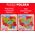 Daffi Puzzle drewno mapa Polski D-100 41004
