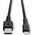 Kabel USB Lindy USB-A - Lightning 1 m Czarny (31320)