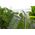 Bestway Prysznic Ogrodowy Basenowy Solarny 8L Bestway 58694