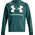 Under Armour Bluza męska Under Armour Rival Fleece Big Logo HD zielona 1357093 722 L