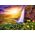 Trefl Puzzle 1000 element?w UFT Seljalandsfoss Wodospad Islandii