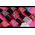 Deborah Deborah, 10 Days Long, Nail Polish, EN889, Teal, 11 ml For Women