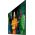 Monitor Samsung QH43C (LH43QHCEBGCXEN)