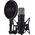Mikrofon Rode Rode Microphones NT1-A 5th Gen, microphone (black, USB-C, XLR)