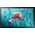 System interaktywny Samsung Samsung QB13R-T Interaktywny płaski panel 33 cm (13") LED Wi-Fi 500 cd/m² Full HD Czarny Ekran dotykowy Tizen 4.0
