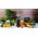 Blender kielichowy Berdsen BD-752