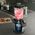 Blender kielichowy Philips HR3760/10