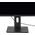 StarTech Stojak biurkowy na monitor 32" - 34" (FPPNEUSTND)