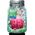 Clementoni BOARD GAME BRAIN FREEZE 2 16781