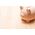 Kamera Hivision Built-in dishwasher Gorenje GV520E11
