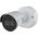 Kamera IP Axis AXIS NET CAMERA M2036-LE IR BULLET/WHITE 02125-001