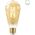 WiZ WiZ,ST64 Edison,7W,2000-5000,ST64,E27,1 pcs lightsource