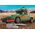 Playmobil Zestaw figurek Porsche 71436 Porsche 911 Carrera RS 2.7 Offroad