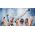Bosch Bosch 1600A016BT