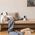 Kamera IP Arenti Arenti P2Q 4MP Indoor UHD Pan-Tilt Wi-Fi Camera