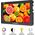 Feelworld Feelworld Monitor FW703 7" SDI monitor