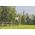 Gardena Gardena combisystem do gałęzi 17401-20