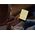 Czytnik Amazon Kindle Paperwhite Kids Jewel Forest (CH00196)