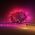 Philips Philips Hue Festavia girlanda 500