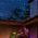 Philips Philips Hue Festavia girlanda 250