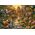 Castor Puzzle 1000 elementów Tigers Paradise