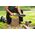 Piła łańcuchowa Ryobi PILARKA ÅAÅCUCHOWA AKUMULATOROWA RY18CS20A-0 20CM 18V 0*AH