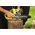 Piła łańcuchowa Ryobi PILARKA ÅAÅCUCHOWA AKUMULATOROWA RY18CS20A-0 20CM 18V 0*AH