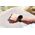 Smartwatch QCY Smartwatch QCY WATCH GT Amoled IPX8 czarny