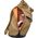 Thule Thule | Backpack 24L | PARABP-3116 Paramount | Backpack | Nutria | Shoulder strap | Waterproof