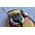 MasterLock Master Lock Padlock made from Laminated Steel (64mm)M15BEURDLF