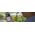 Wideorejestrator Garmin Garmin dashcam 010-02619-10 Dash Cam Live black