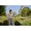 Gardena Watering hose 13mm (1/2") 20 m. GARDENA Basic, Set: 1 x 18300, 1 x 18213, 1 x 18215