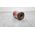 KWB kwb 817806, 1 pc(s)