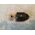 Milwaukee MILWAUKEE FIXTEC ADAPTER 1/2"x 20