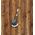 Gardena Disc brush attachment for AquaBrush Gardena 14846-20
