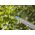 Gardena GARDENA Cordless Hedge Trimmer EasyCut 40/18V P4A Ready-To-Use Set, 18V (dark grey/turquoise, Li-Ion battery 2.0Ah, POWER FOR ALL ALLIANCE)