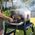 Mini piekarnik Ninja NINJA OO101EU Woodfire Pro Pizza-Oven/Maker