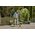 Gardena GARDENA cordless joint brush EasyWeed 1800/18V P4A solo, weed remover (grey/turquoise, without battery and charger, POWER FOR ALL ALLIANCE)