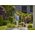 Gardena GARDENA cordless joint brush EasyWeed 1800/18V P4A solo, weed remover (grey/turquoise, without battery and charger, POWER FOR ALL ALLIANCE)