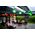 Lite Bulb Moments LBM 10m Smart Outdoor Light Chain - 50 x Stars