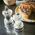 Młynek do przypraw Peugeot Peugeot Bistro pepper mill 10cm acryl transparent