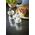 Młynek do przypraw Peugeot Peugeot Bistro salt mill 10 cm acryl transparent