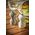 Młynek do przypraw Peugeot Peugeot Bistro salt mill 10 cm pearl grey painted wood