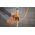 Kabel USB Tether Tools USB-C - USB-C 9.4 m Pomarańczowy (CUC31RT2-ORG)