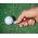 Victorinox Victorinox Golf Tool Ruby