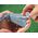 Victorinox Victorinox Golf Tool Ruby