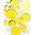 Darphin Darphin, Essential Oil Elixir - Rose Aromatic Care, Essential Oils, Oil, For Face, 15 ml For Women
